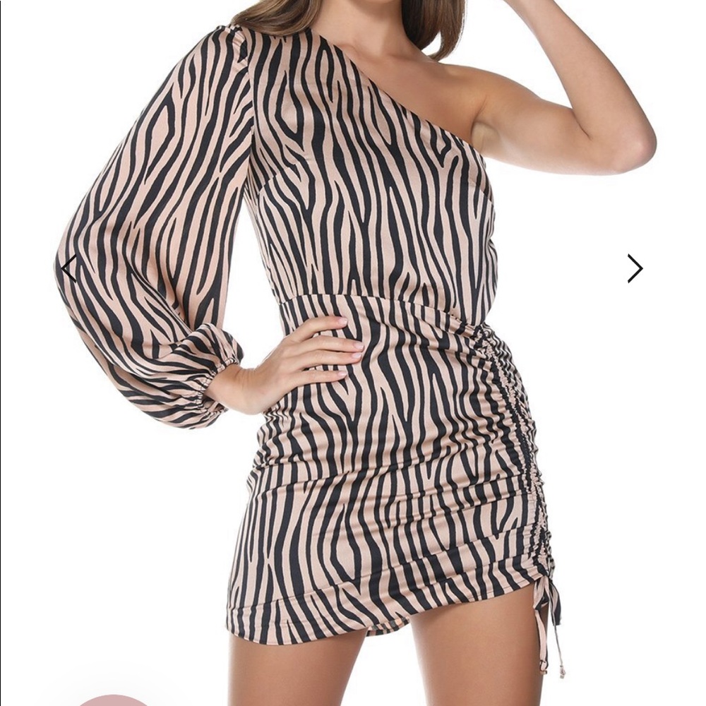 Runaway The Label Cora Dress!